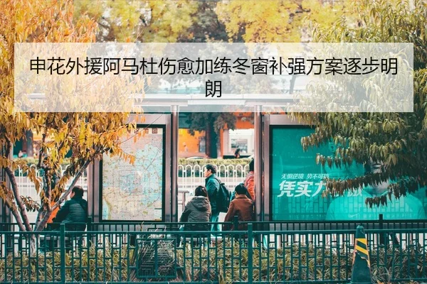 申花外援阿马杜伤愈加练冬窗补强方案逐步明朗